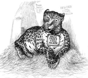 NASTy Leopard 2.0 (ink)